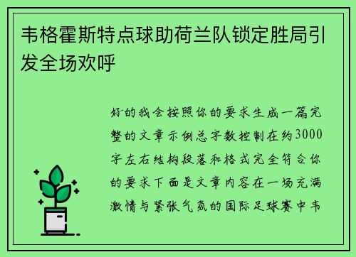 韦格霍斯特点球助荷兰队锁定胜局引发全场欢呼