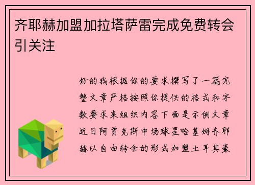 齐耶赫加盟加拉塔萨雷完成免费转会引关注